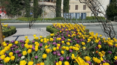 31. ožujka 2017.