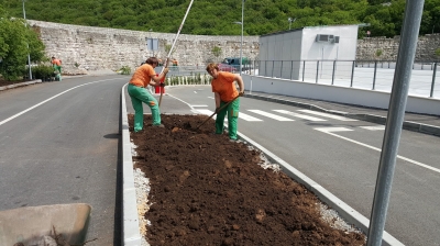 priprema  tla za sadnju cvijetnih trajnica