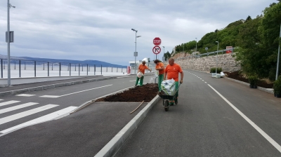 priprema  tla za sadnju cvijetnih trajnica