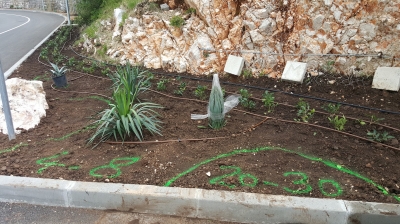 priprema za sadnju i razastiranje drobljenaca