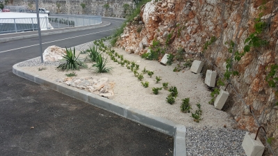 nakmjesec dana nakon sadnjeon obavljenih radova