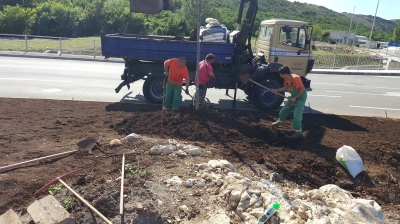 izrada uzvišenja oko stabala